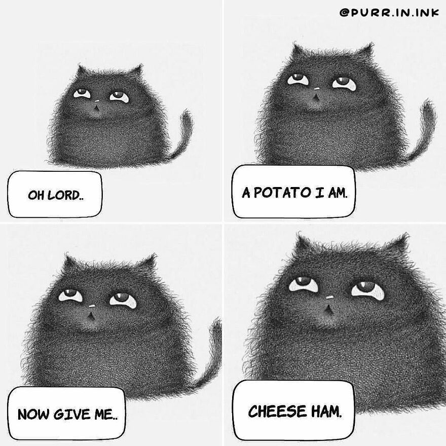 Portuguese Illustrator Immerses Us In The Thoughts Of Cats With Art And A Lot Of Humor