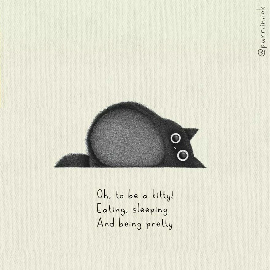 Portuguese Illustrator Immerses Us In The Thoughts Of Cats With Art And A Lot Of Humor