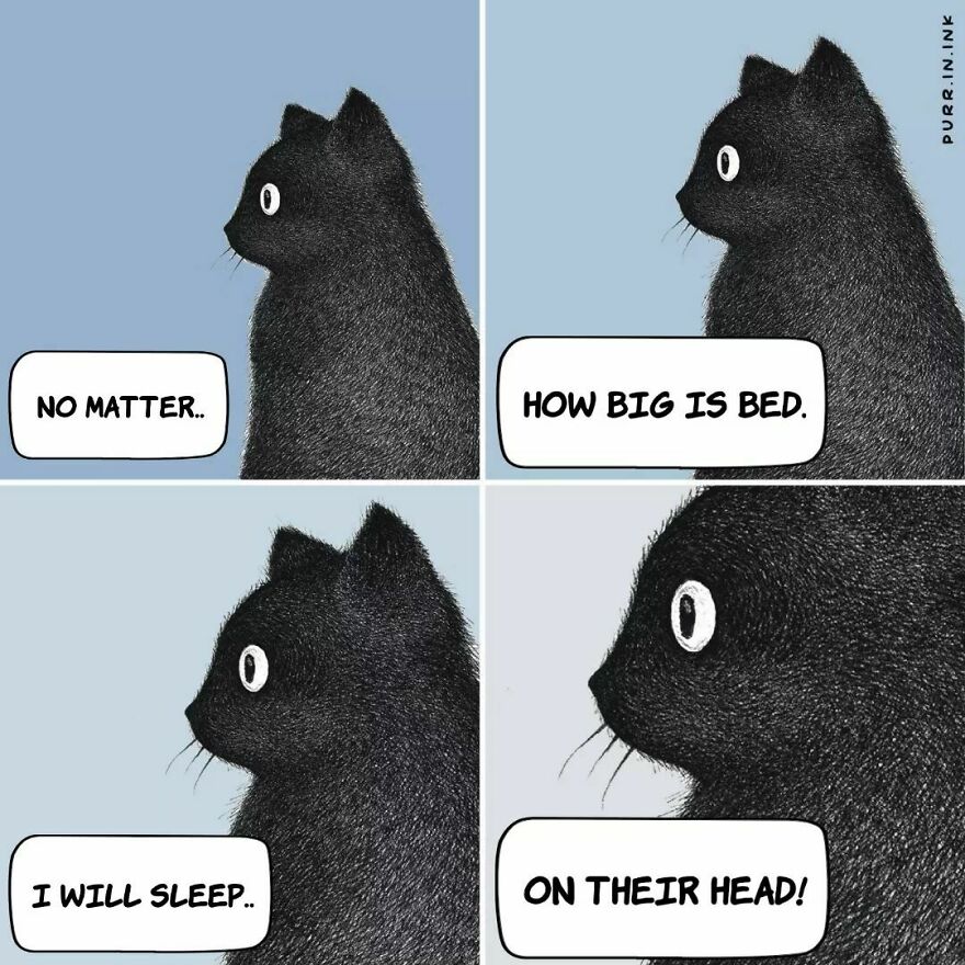 Portuguese Illustrator Immerses Us In The Thoughts Of Cats With Art And A Lot Of Humor