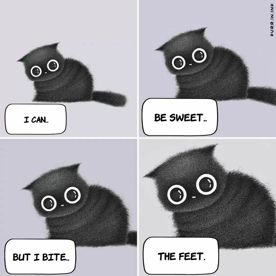 Portuguese Illustrator Immerses Us In The Thoughts Of Cats With Art And A Lot Of Humor