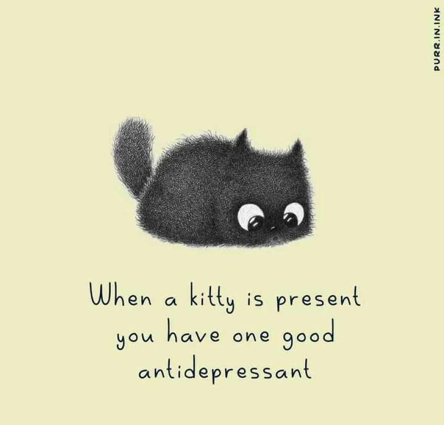 Portuguese Illustrator Immerses Us In The Thoughts Of Cats With Art And A Lot Of Humor