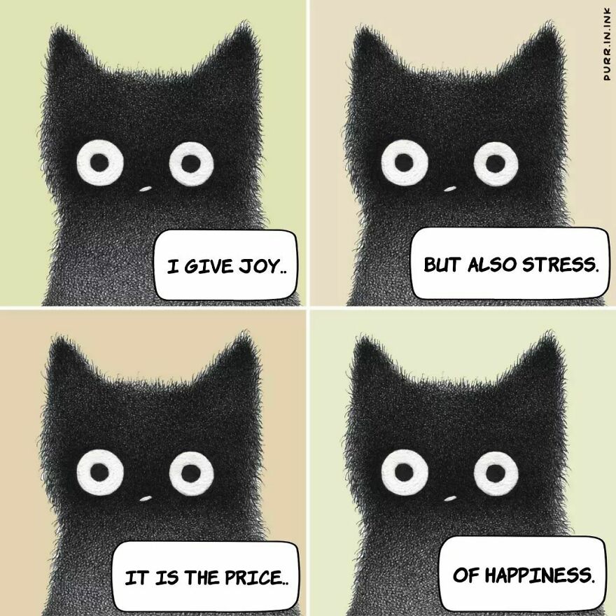 Portuguese Illustrator Immerses Us In The Thoughts Of Cats With Art And A Lot Of Humor