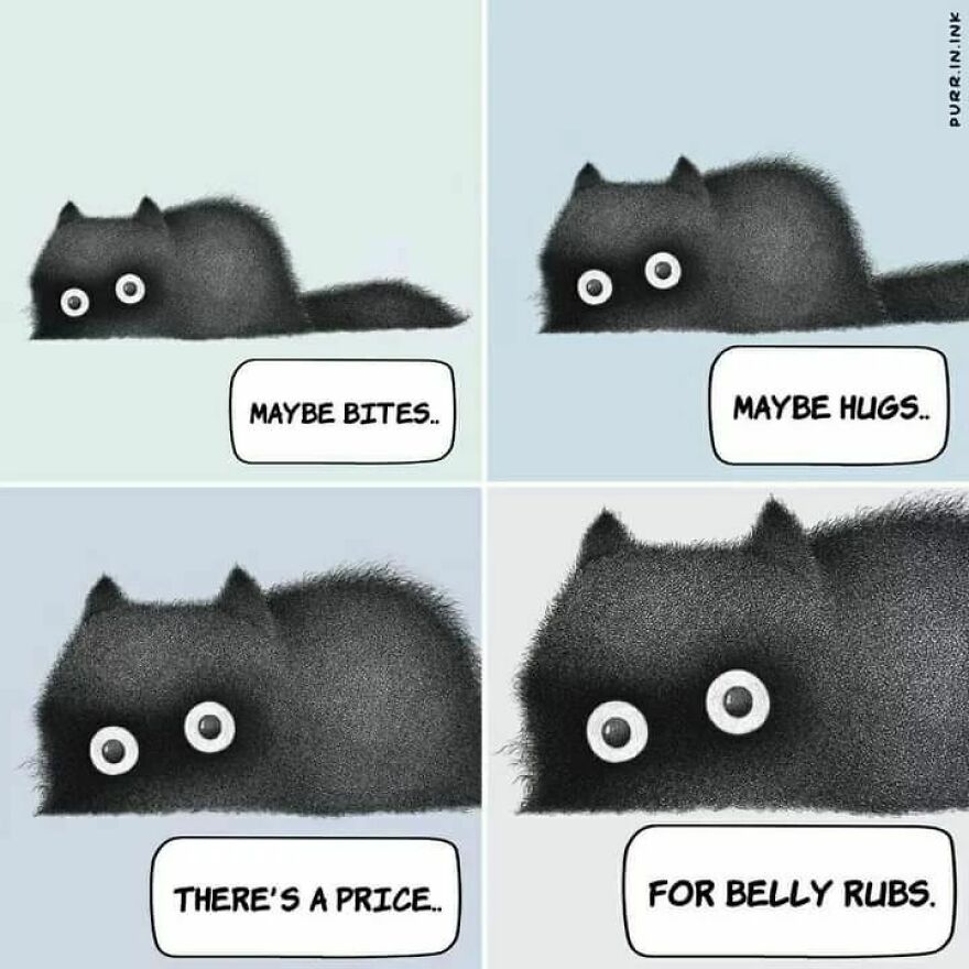 Portuguese Illustrator Immerses Us In The Thoughts Of Cats With Art And A Lot Of Humor