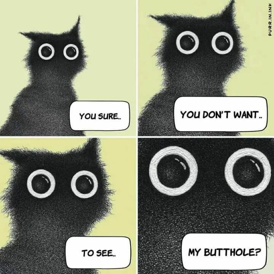 Portuguese Illustrator Immerses Us In The Thoughts Of Cats With Art And A Lot Of Humor