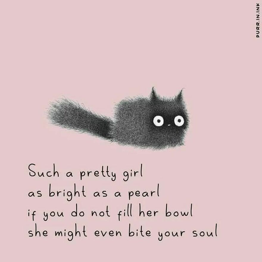 Portuguese Illustrator Immerses Us In The Thoughts Of Cats With Art And A Lot Of Humor