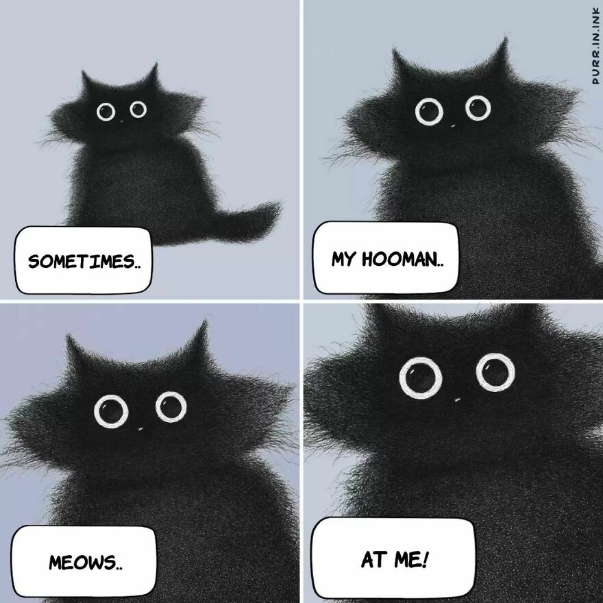 Portuguese Illustrator Immerses Us In The Thoughts Of Cats With Art And A Lot Of Humor