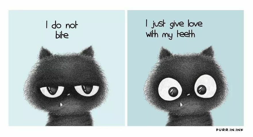 Portuguese Illustrator Immerses Us In The Thoughts Of Cats With Art And A Lot Of Humor