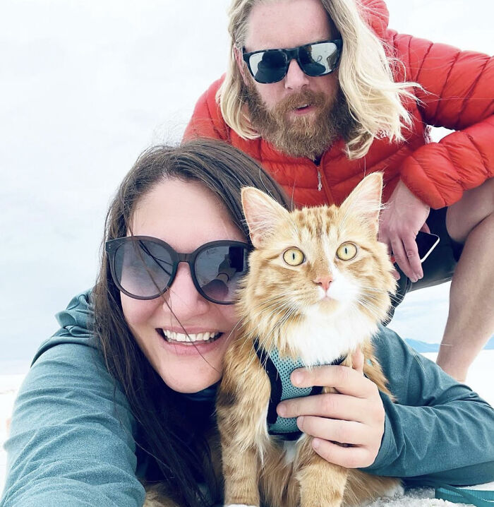 A este gato naranja le encanta vivir todo tipo de aventuras y hacer sonreír a todos los que conoce