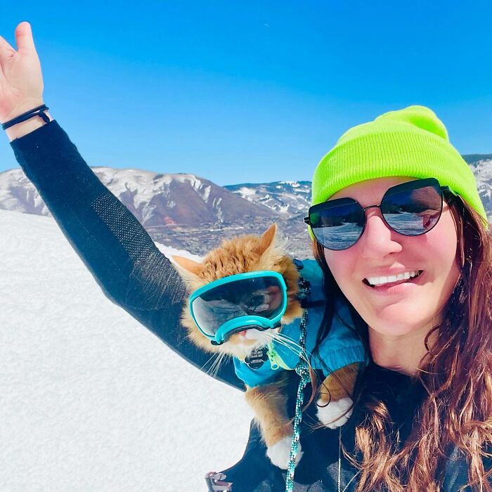 A este gato naranja le encanta vivir todo tipo de aventuras y hacer sonreír a todos los que conoce