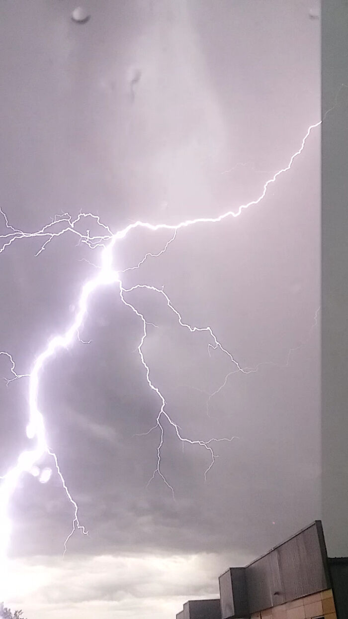 June 2019, Colorado Springs...under Bijou Bridge. Unedited