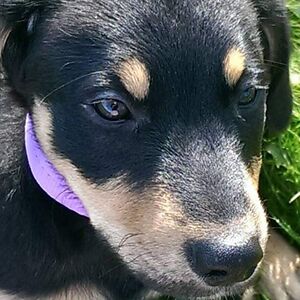 caroline_smith avatar