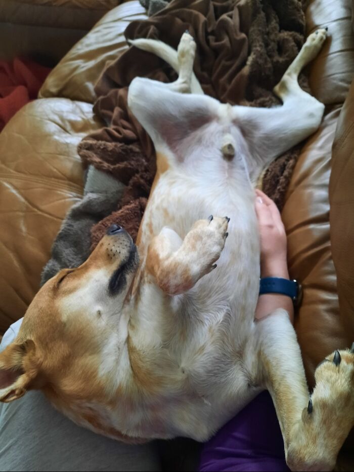 This Is Mars And He Loves To Sleep Like This.