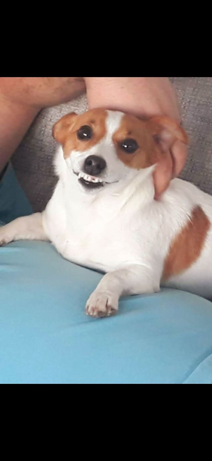 Our Little Levi Smiling For The Camera!