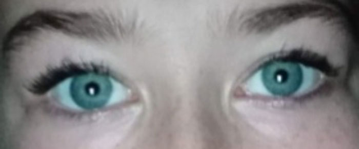 Not The Best Picture Itself, But Here It Is!