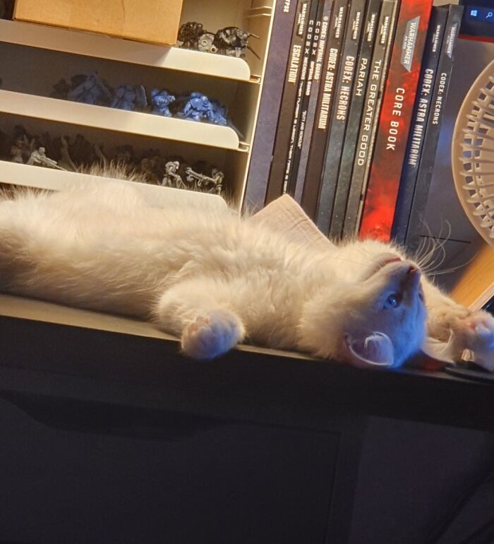 I Need A Break From Being A Little Troublemaker!