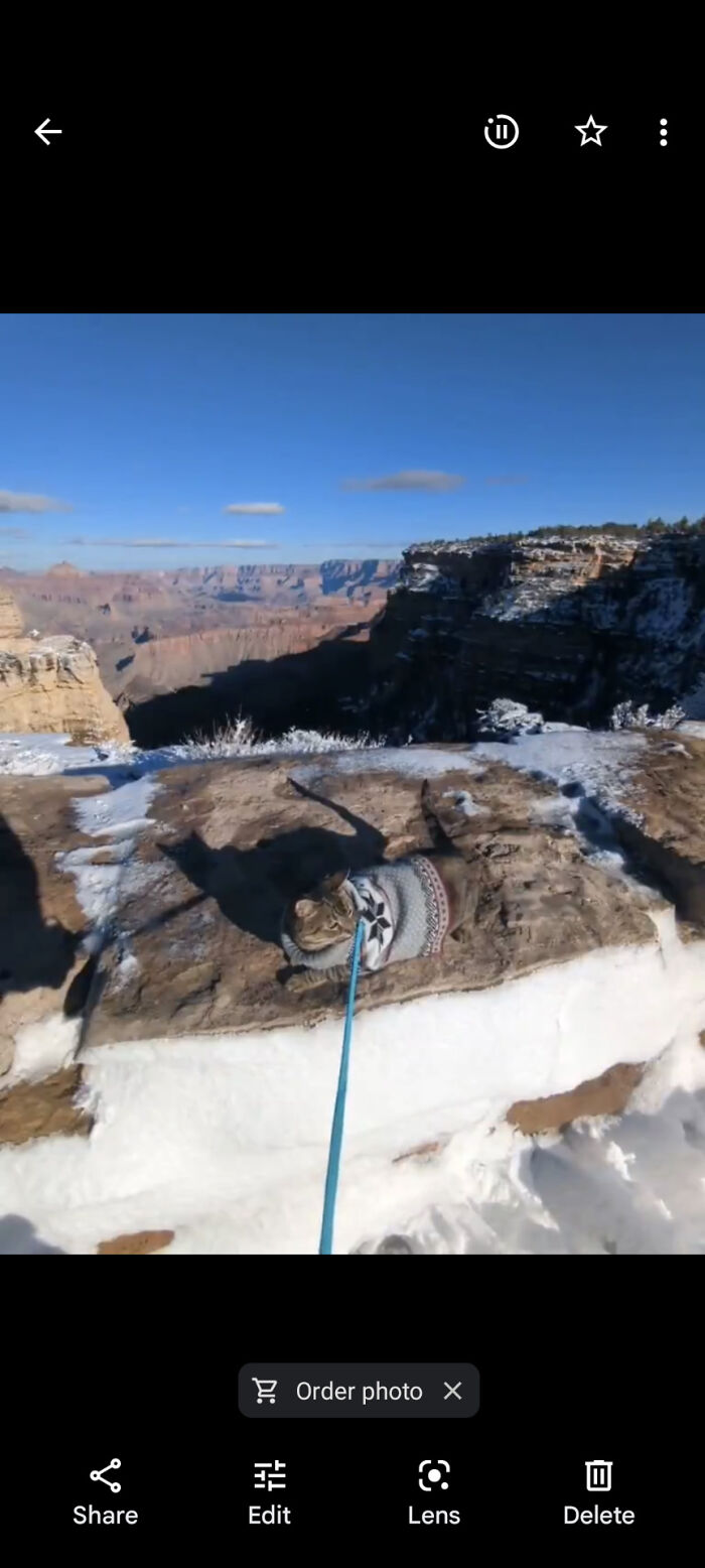 Road Trip Buddy!! Princess At The Grand Canyon