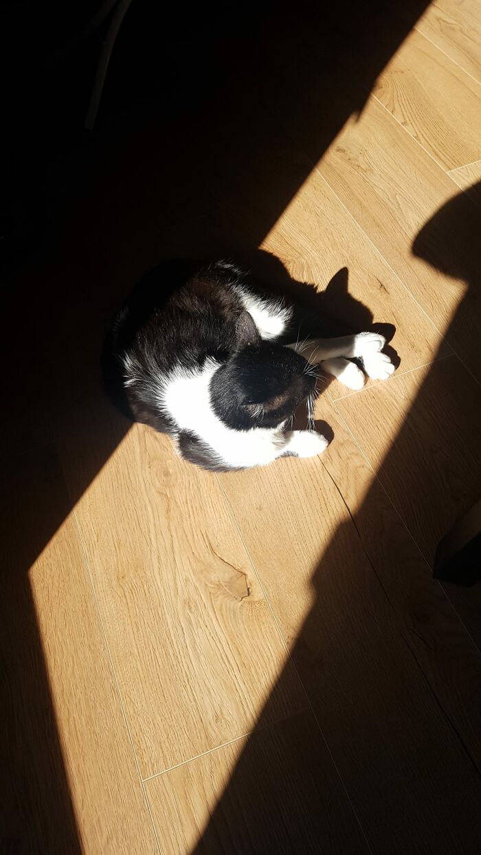 Sunbathing