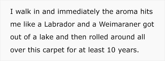 Tenant Attempted To Get Rid Of The Smelly Carpet That's Causing Allergies, Her Landlord Disregarded The Problem Tenant Attempted To Get Rid Of The Smelly Carpet That's Causing Allergies, Her Landlord Disregarded The Problem