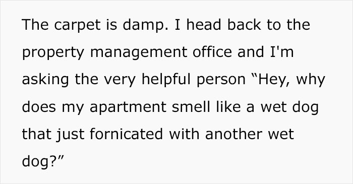 Tenant Attempted To Get Rid Of The Smelly Carpet That's Causing Allergies, Her Landlord Disregarded The Problem Tenant Attempted To Get Rid Of The Smelly Carpet That's Causing Allergies, Her Landlord Disregarded The Problem