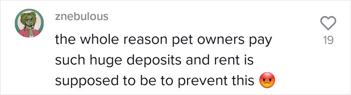 Tenant Attempted To Get Rid Of The Smelly Carpet That's Causing Allergies, Her Landlord Disregarded The Problem Tenant Attempted To Get Rid Of The Smelly Carpet That's Causing Allergies, Her Landlord Disregarded The Problem