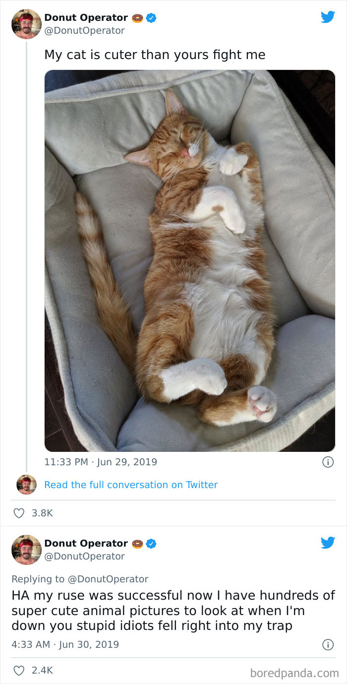 Stupid Idiots And Their Cute Pets