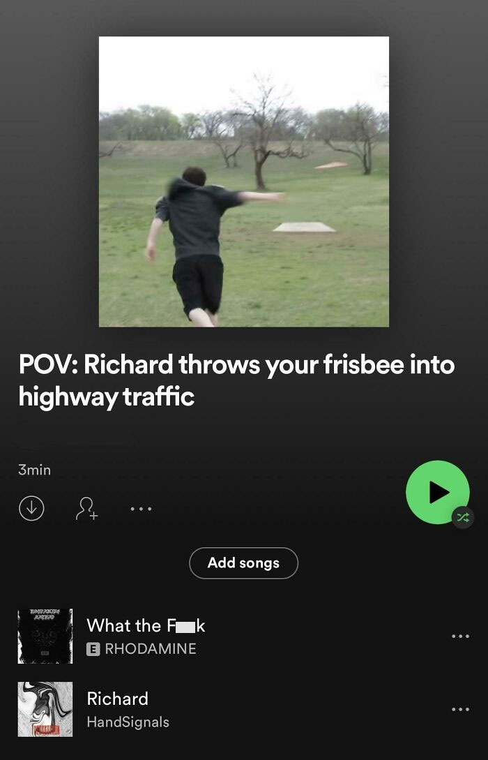 Pov: Richard Throws Your Frisbee Into Highway Traffic