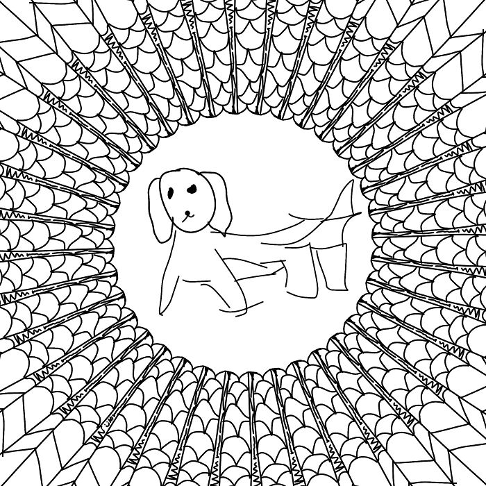 Only The Shark Dog This Counts