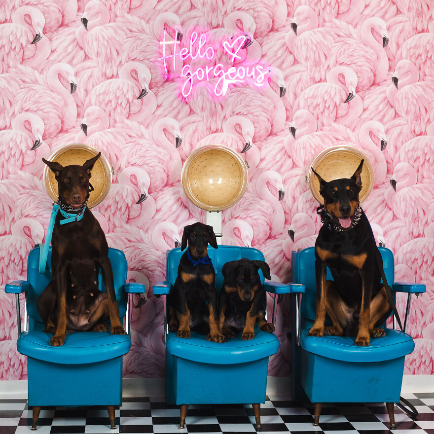 “So Nice To Get The Kids Out Of The House For A Day” Direct Quote From These Proud Parents