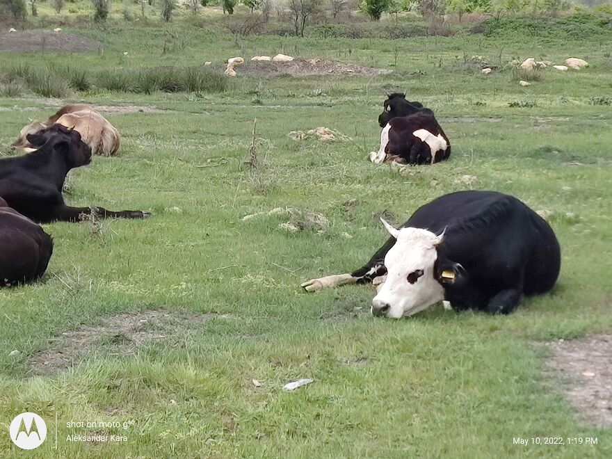 When Your Mind Is Clear And You Are Living The Moment When Your Mind Is Clear And You Are Living The Moment