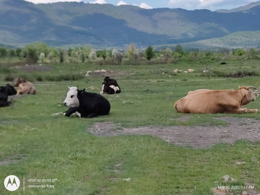 When Your Mind Is Clear And You Are Living The Moment When Your Mind Is Clear And You Are Living The Moment