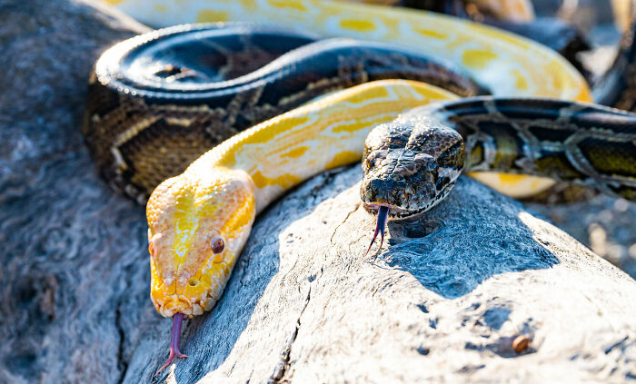 Wildlife Champions: Corbin Maxey