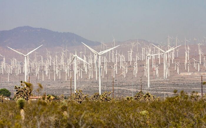 The Thought That This Is The Future :-(