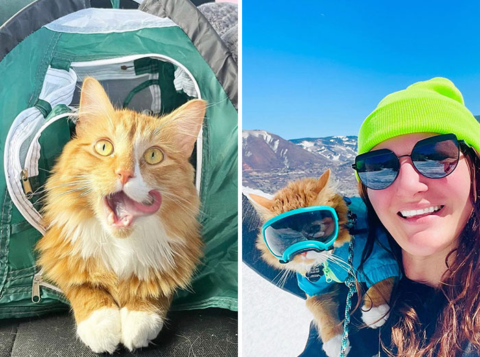 A este gato naranja le encanta vivir todo tipo de aventuras y hacer sonreír a todos los que conoce