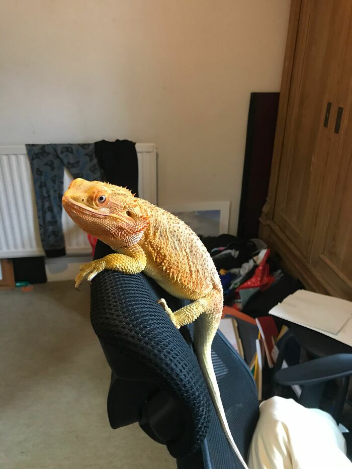 Nooo I Do Not Want To Any More Homework, I Am Outa Here!