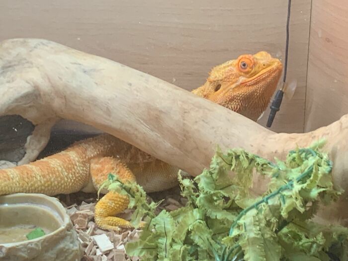 Alex Is Delighted That You Like Him So We Would Like To Share More.