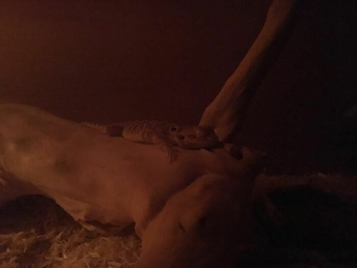 Baby Alex 6 Years Ago Asleep On His First Night