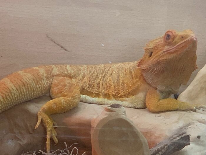 Alex: My Tinder Profile