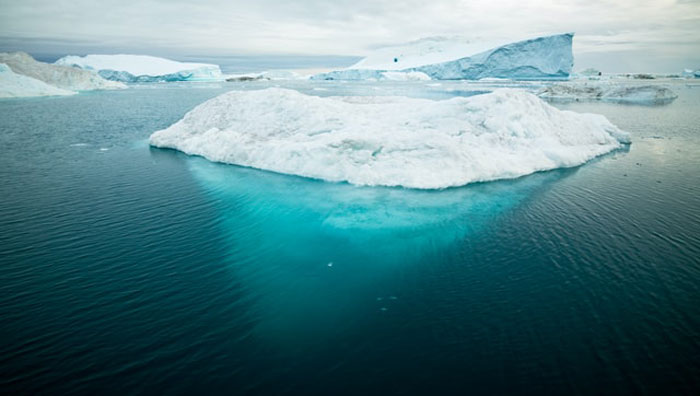 40 New ‘Today I Learned’ Facts That Prove It’s Never Too Late To Learn Something New