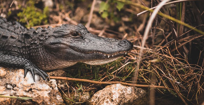 40 New ‘Today I Learned’ Facts That Prove It’s Never Too Late To Learn Something New