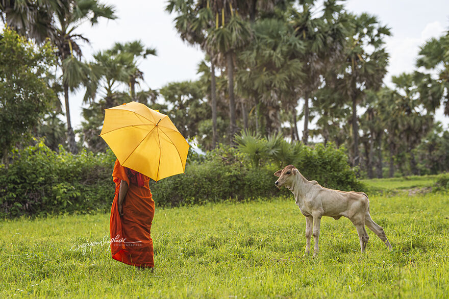 The Home-Leaving For Filial Piety Towards Grandparents And Parents Is A Beauty In The Community Of Young Khmer Buddhists