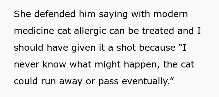 Person That Suffers From Allergy Went On A Date With A Cat Owner, Guy Caused A Scene When Told The Relationship Wasn&rsquo;t Going To Work