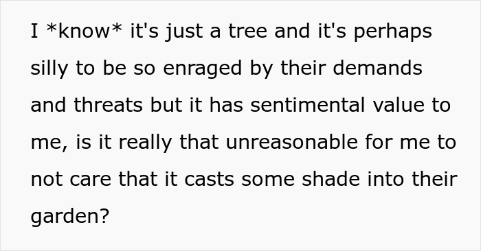 &ldquo;AITA For Not Removing A Tree From My Property As My New Neighbor Demands?&rdquo;