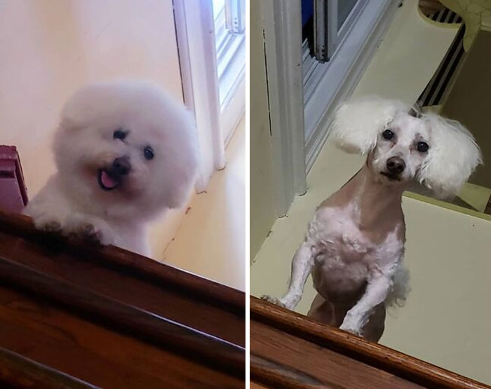 Because It Had To Be Done