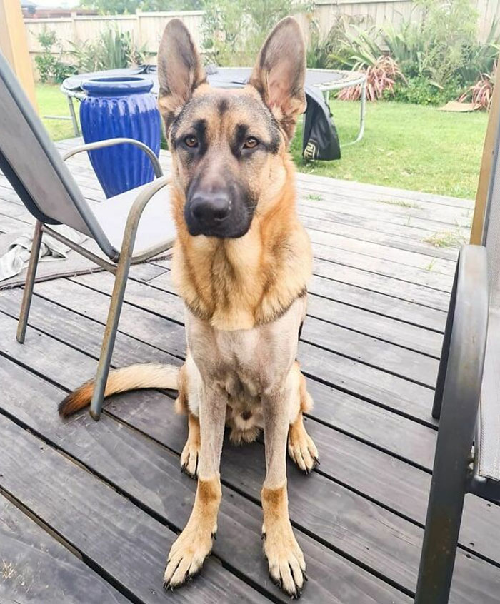 I Don't Have What To Say About That