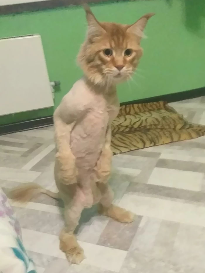 Ella tiene un aspecto maravilloso