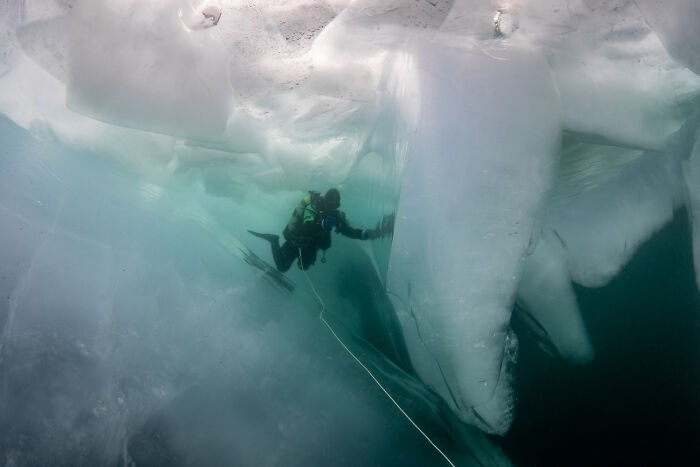 Beneath The Ice: I Took Underwater Shots Of Lake Baikal's Seals (16 Pics)