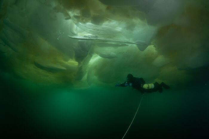 Beneath The Ice: I Took Underwater Shots Of Lake Baikal's Seals (16 Pics)