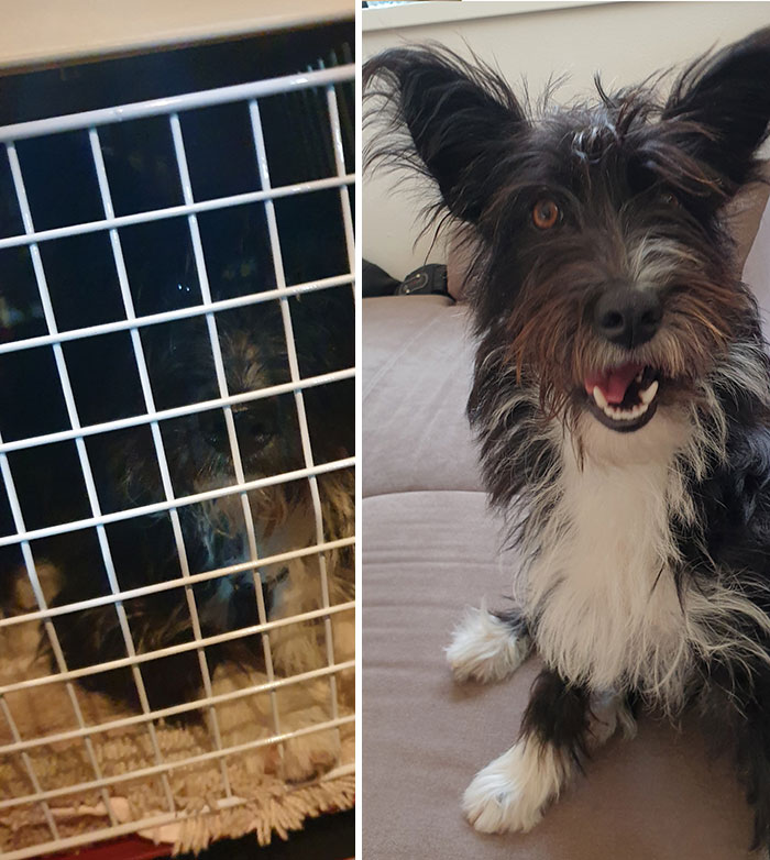 When She Arrived And Three Days Later