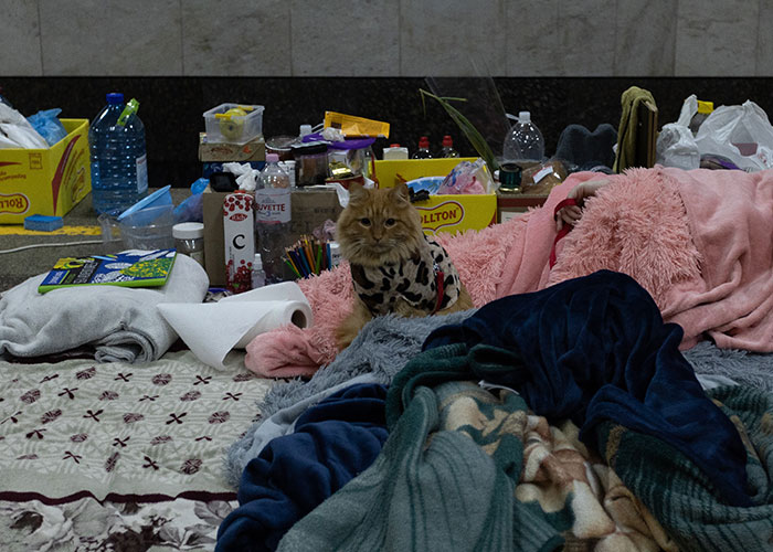 Benedict Cumberbatch Welcomes Ukrainian Family Into His Home In The Hopes To Bring Them Some Stability Benedict Cumberbatch Welcomes Ukrainian Family Into His Home In The Hopes To Bring Them Some Stability