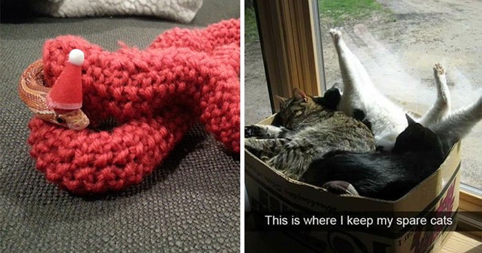 50 Of The Best Mothers-In-Law Who Prove The Negative Stereotypes About Them Are Totally Wrong